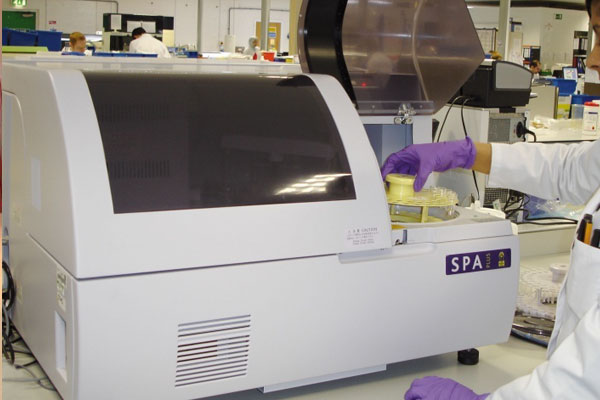SPA plus Binding Site